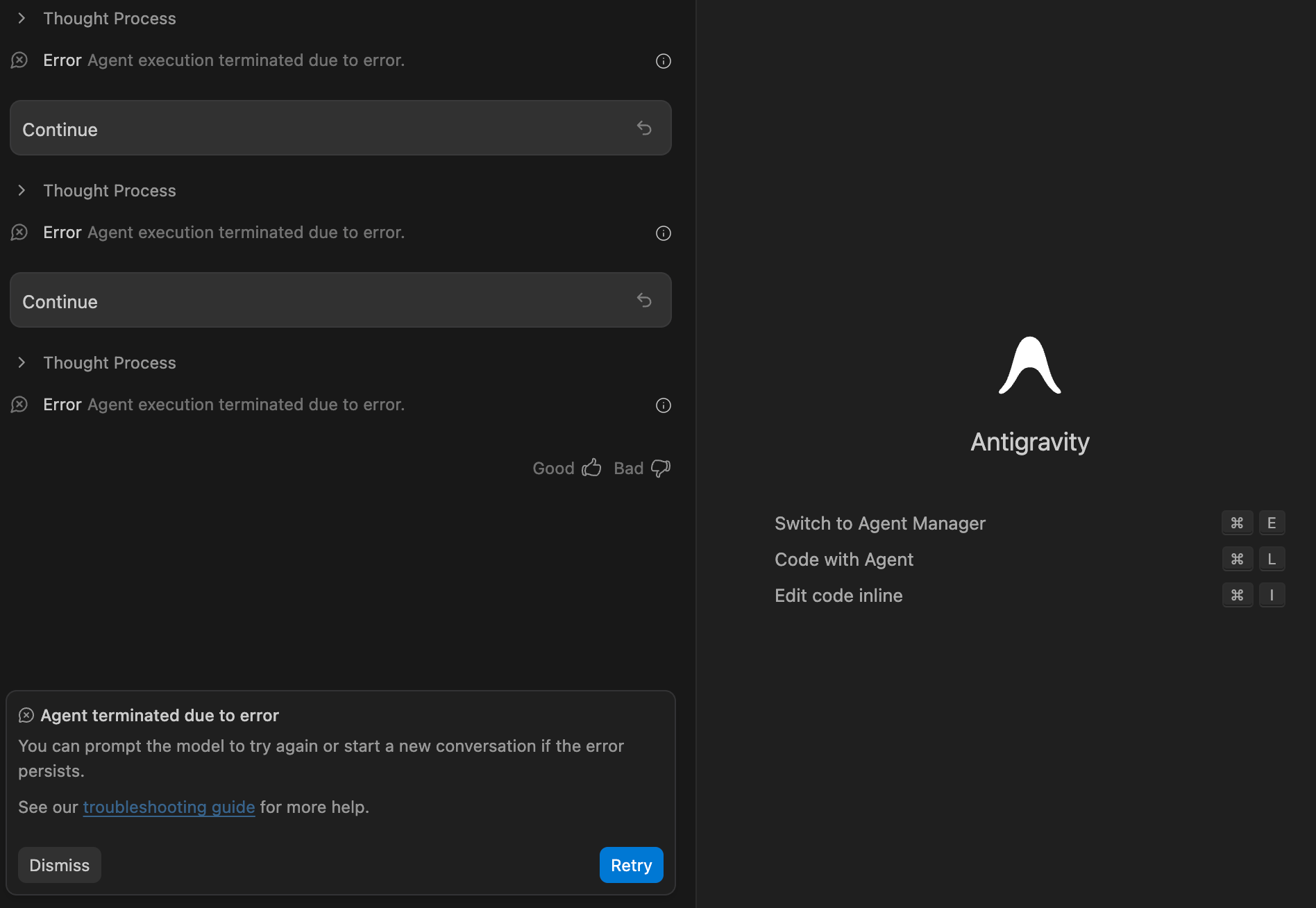 Agent execution terminated due to error